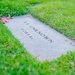 DPAA Disinterment NMCP
