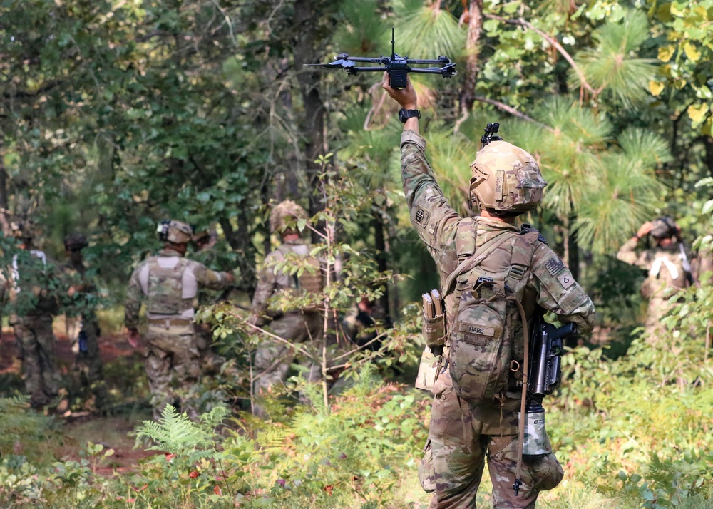 3BCT FTX Panther Avalanche