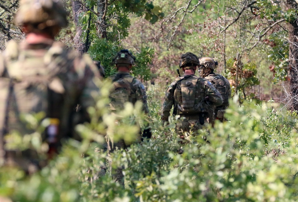 3BCT FTX Panther Avalanche