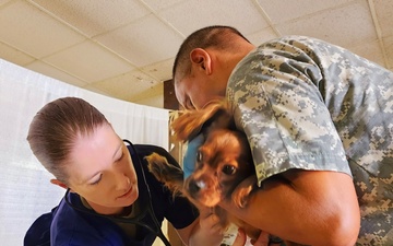 Army Reserve provides medical, veterinary care