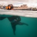 Army Divers Training During RIMPAC