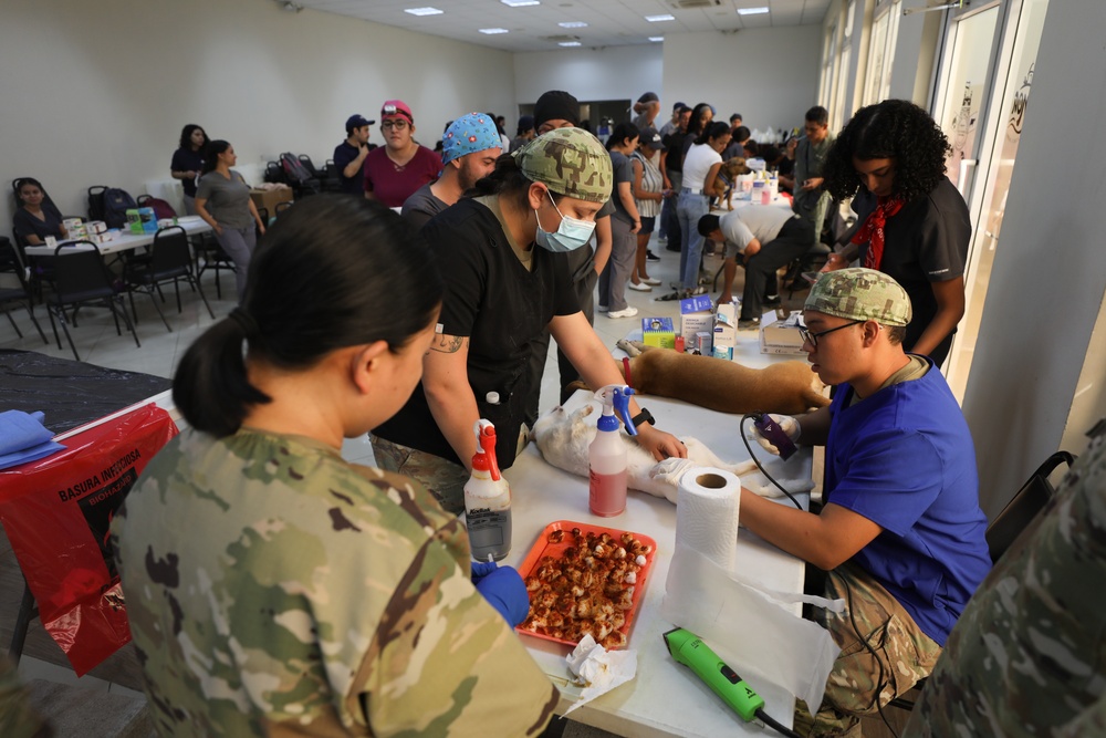 U.S. Army Veterinarians Help Hondurans