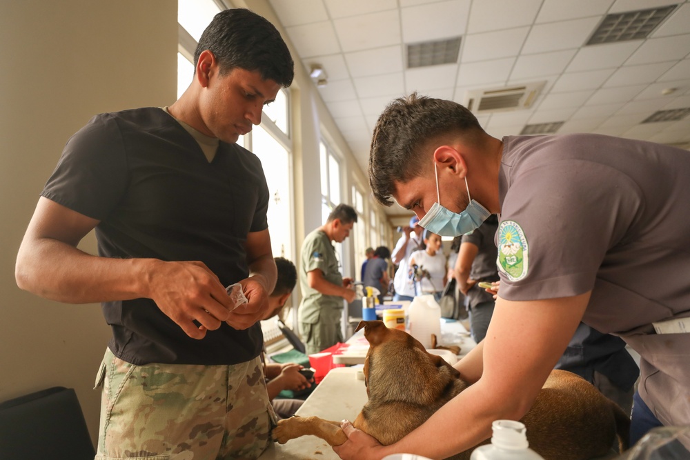 U.S. Army Veterinarians Help Hondurans