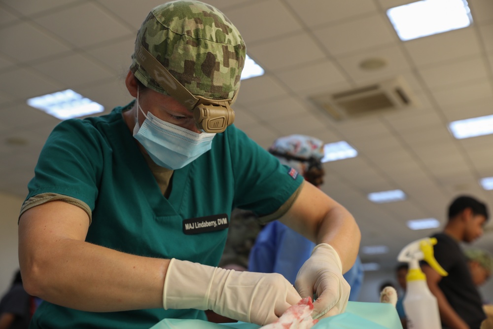 U.S. Army Veterinarians Help Hondurans