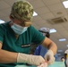 U.S. Army Veterinarians Help Hondurans