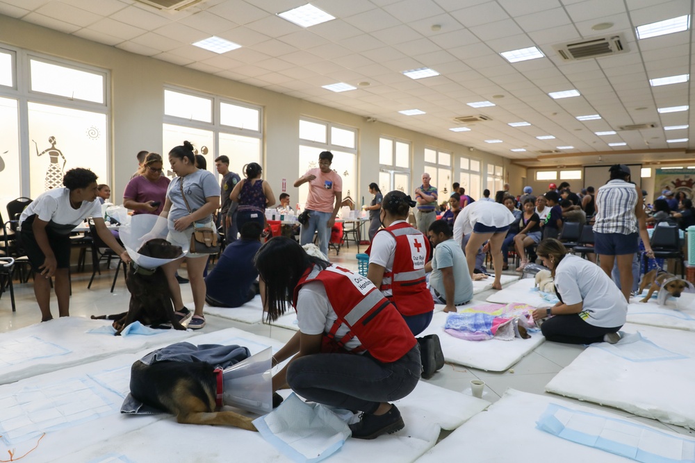 U.S. Army Veterinarians Help Hondurans