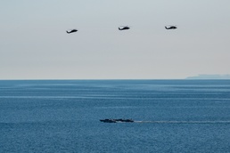 Operation Polar Dagger