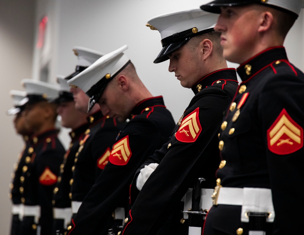 Inspection Arms