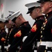 Inspection Arms