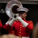 Inspection Arms