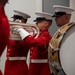 Inspection Arms