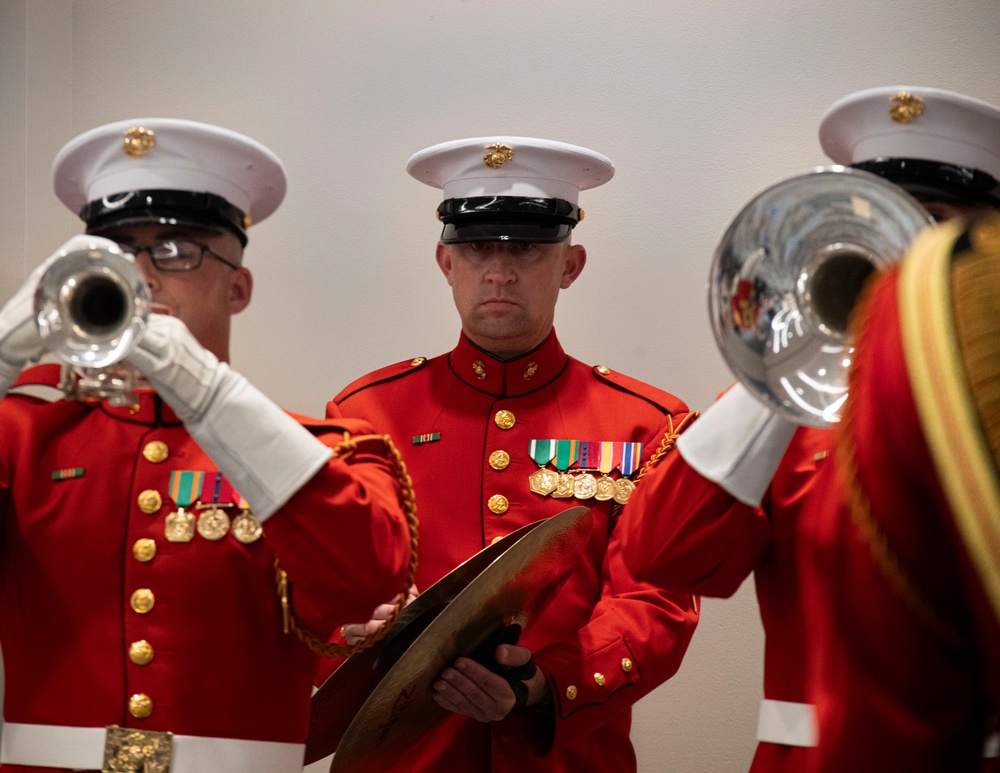 Inspection Arms