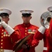 Inspection Arms