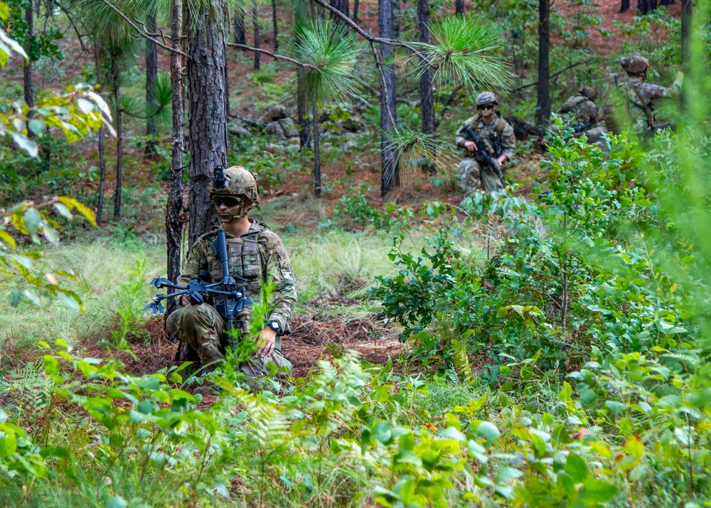 3BCT FTX Panther Avalanche