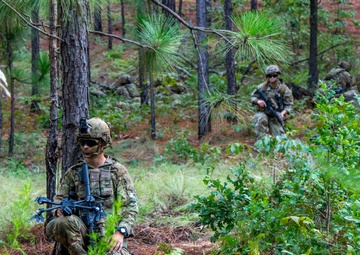 3BCT FTX Panther Avalanche