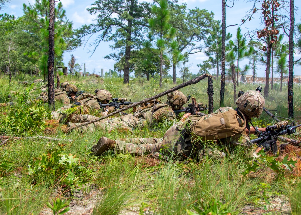 3BCT FTX Panther Avalanche