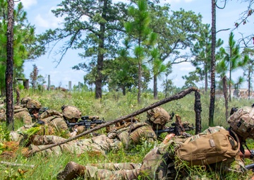 3BCT FTX Panther Avalanche