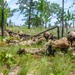 3BCT FTX Panther Avalanche