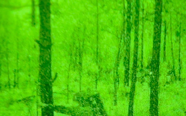 3rd BCT, 82nd ABN DIV kicks off &quot;Panther Avalanche&quot;