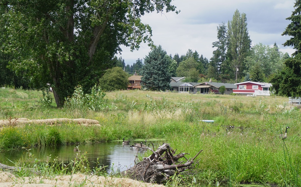 Restored Fish and Wildlife Habitat Officially Reopens at Lake Ballinger