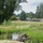 Restored Fish and Wildlife Habitat Officially Reopens at Lake Ballinger
