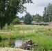 Restored Fish and Wildlife Habitat Officially Reopens at Lake Ballinger