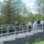 Restored Fish and Wildlife Habitat Officially Reopens at Lake Ballinger