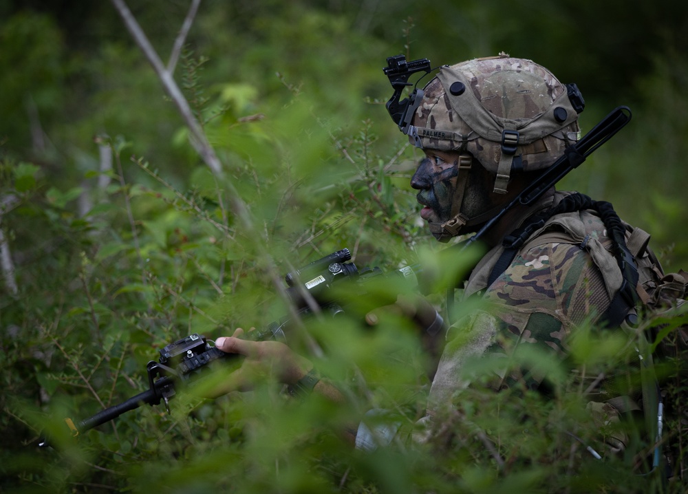 Charlie Co. of the 1-167th Infantry Regiment assaults an enemy position
