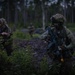 Charlie Co. of the 1-167th Infantry Regiment assaults an enemy position