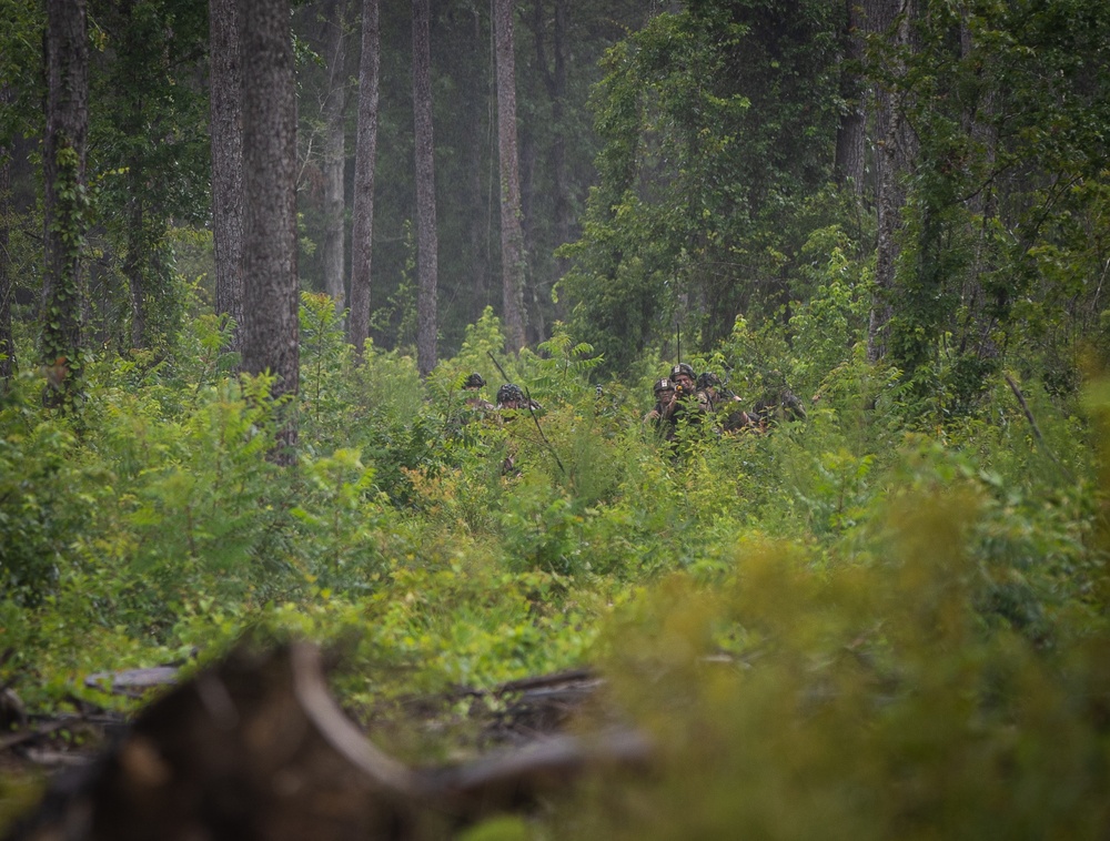 Charlie Co. of the 1-167th Infantry Regiment assaults an enemy position