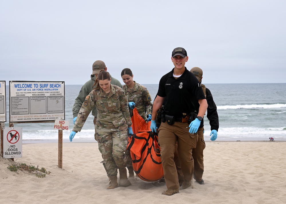 VSFB Environmental Team Surveys Sea Lions at Base Beaches