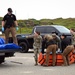 VSFB Environmental Team Surveys Sea Lions at Base Beaches