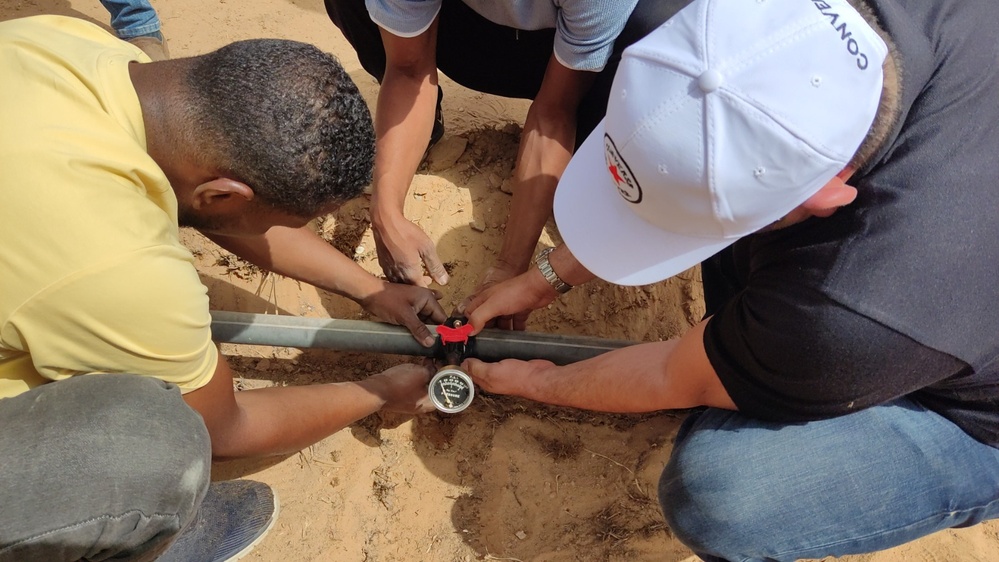 Libya Economic Acceleration Project taught agriculture businesses in southern Libya updated irrigation techniques.