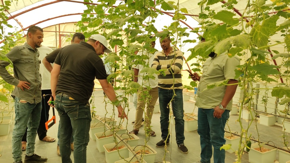 Libya Economic Acceleration Project taught agriculture businesses in southern Libya updated irrigation techniques.