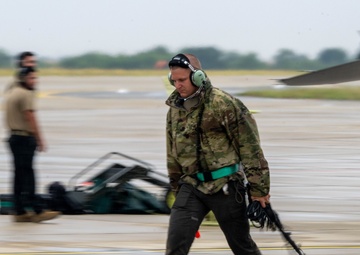 Unleashing Thracian Viper 24