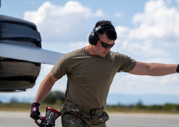 Unleashing Thracian Viper 24