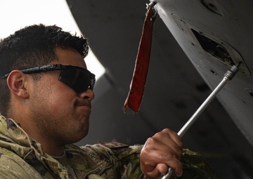 Unleashing Thracian Viper 24