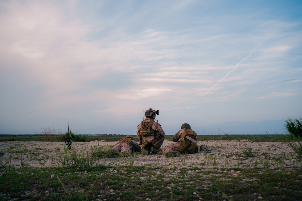 2ND ANGLICO and United Arab Emirates Conduct Close Air Support