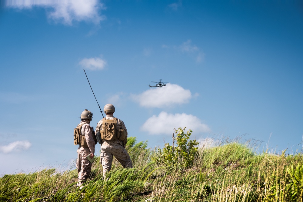 2ND ANGLICO and United Arab Emirates Conduct Close Air Support