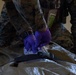 Marines and Sailors demonstrate care under fire