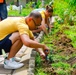 Continuing Promise 2024 Sailors Plant Bushes in Honduras