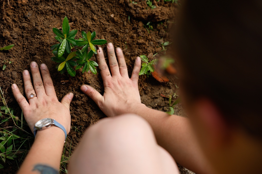 Continuing Promise 2024 Sailors Plant Bushes in Honduras