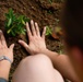 Continuing Promise 2024 Sailors Plant Bushes in Honduras