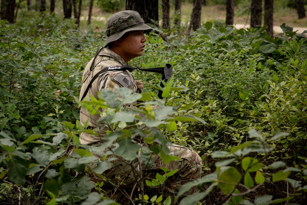 RTI 11B ALC War Phase