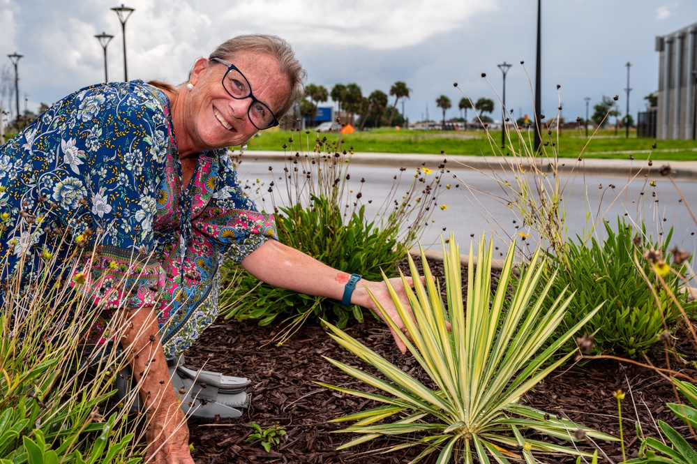 Tyndall showcases landscape design and resilient planting