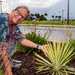 Tyndall showcases landscape design and resilient planting