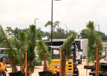 Tyndall showcases landscape design and resilient planting