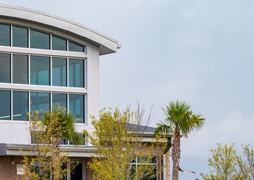 Tyndall showcases landscape design and resilient planting