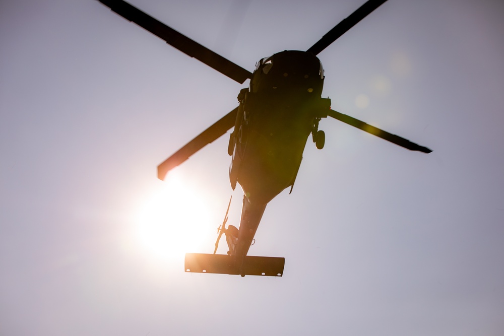 RTI Infantry ALC: Joint Component Aviation Insertion