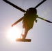 RTI Infantry ALC: Joint Component Aviation Insertion